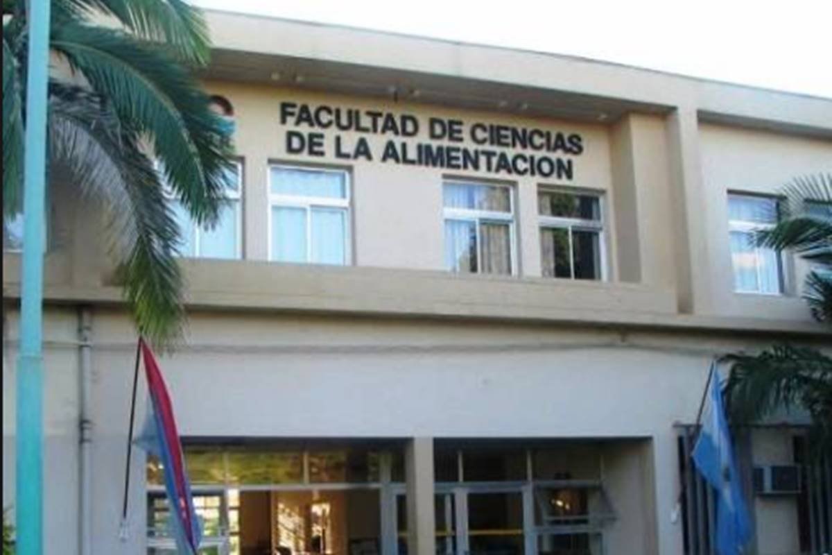 Afirman que el paro será en todo el país y sin concurrencia. Afirman que el paro será en todo el país y sin concurrencia.