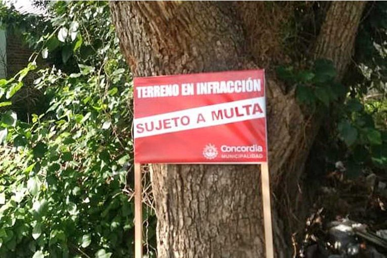 DENGUE: Desde Saneamiento Ambiental explicaron cómo se actúa ante los baldíos privados