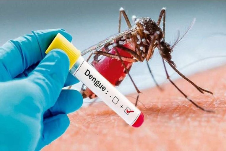 Ante la amenaza de la aparición de casos de dengue en Concordia lanzarán un abordaje integral