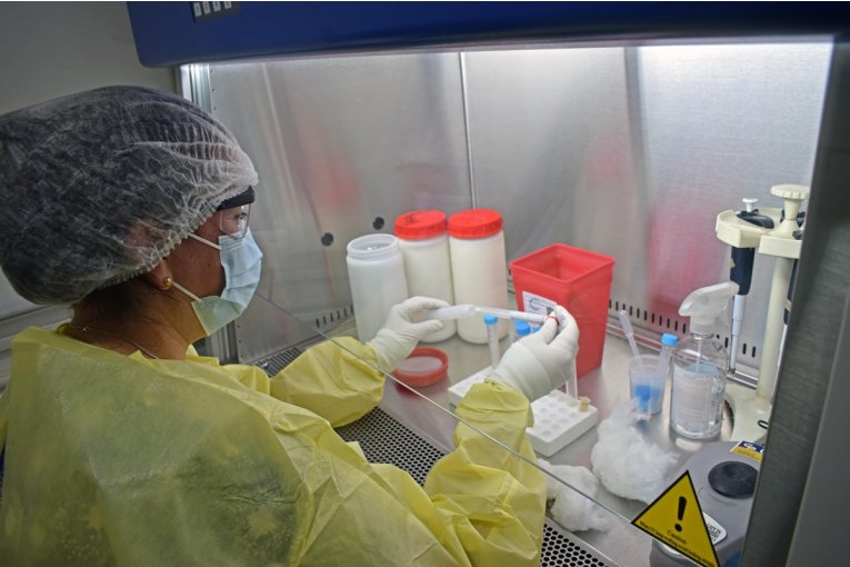 Este miércoles se sumaron 13 nuevos casos de Coronavirus en Entre Ríos