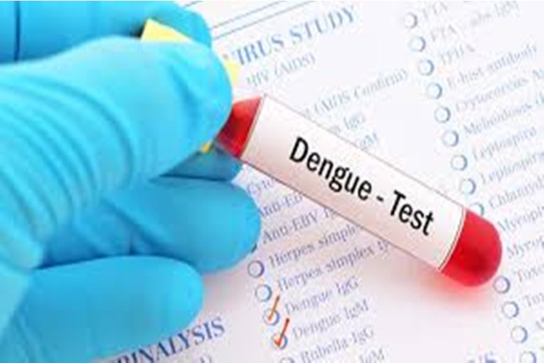 Entre Ríos puso en vigencia el monitor de casos de dengue y confirman 99 positivos