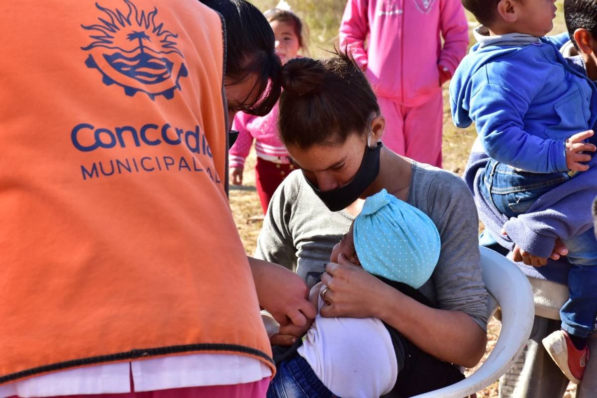 El abordaje se realizó este miércoles, en Concordia. El abordaje se realizó este miércoles, en Concordia.