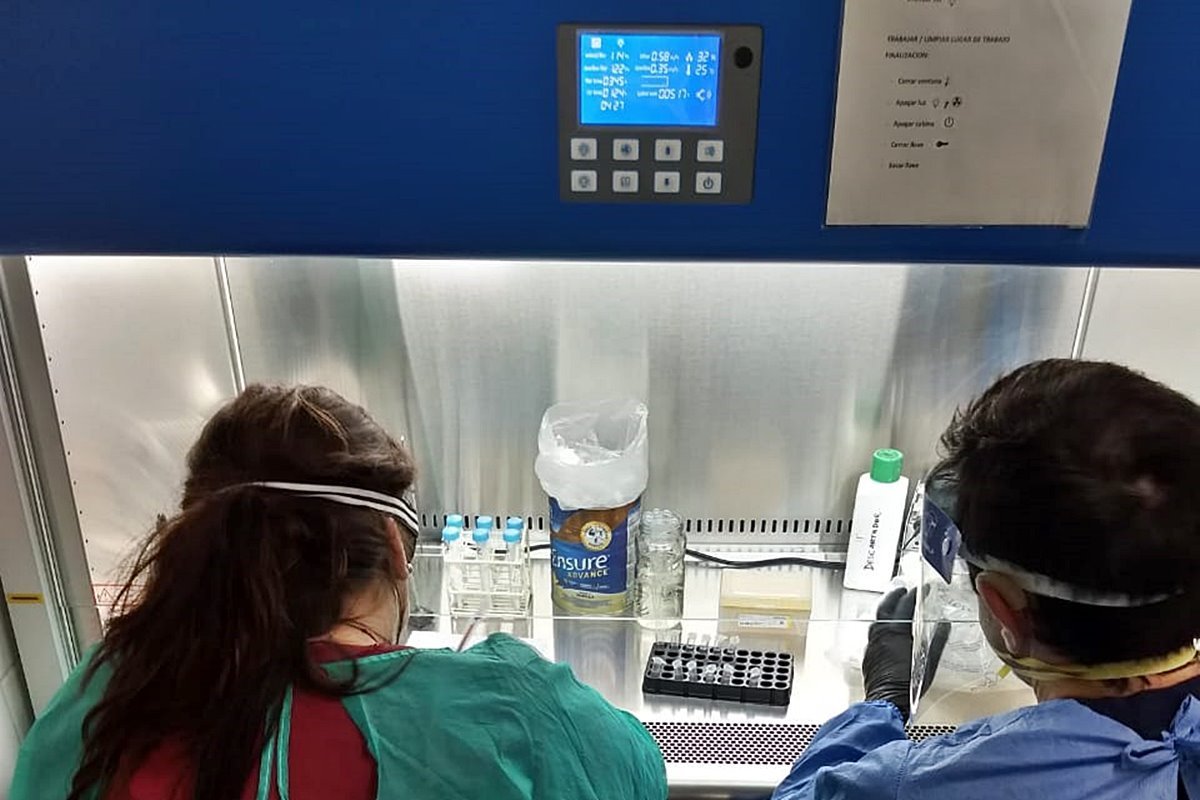 Desde el laboratorio del Masvernat se envían las muestras al Malbrán. Desde el laboratorio del Masvernat se envían las muestras al Malbrán.