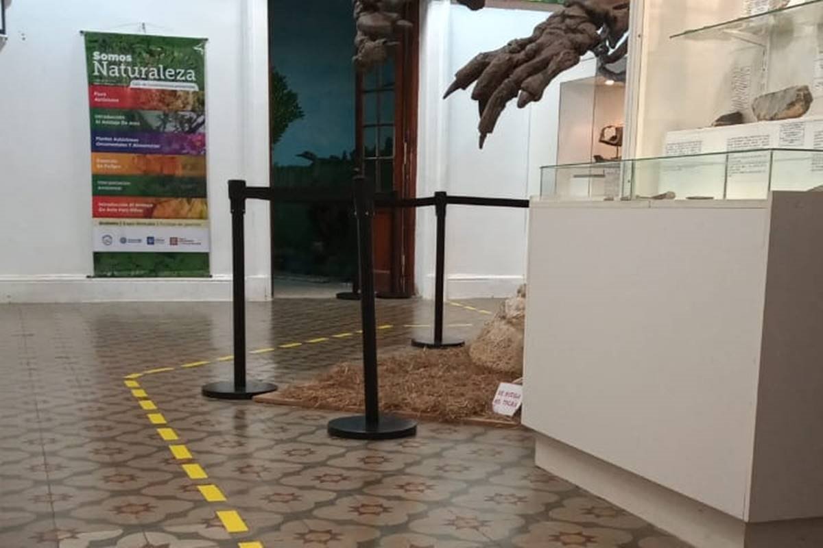 La Noche de los Museos será el próximo viernes 13 y el sábado 14 de enero. La Noche de los Museos será el próximo viernes 13 y el sábado 14 de enero.