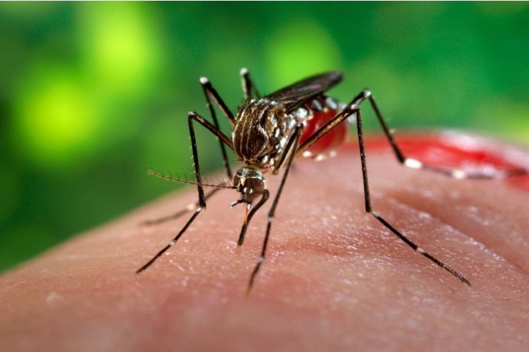 Salud delinea acciones interinstitucionales para abordar la situación del dengue en la provincia