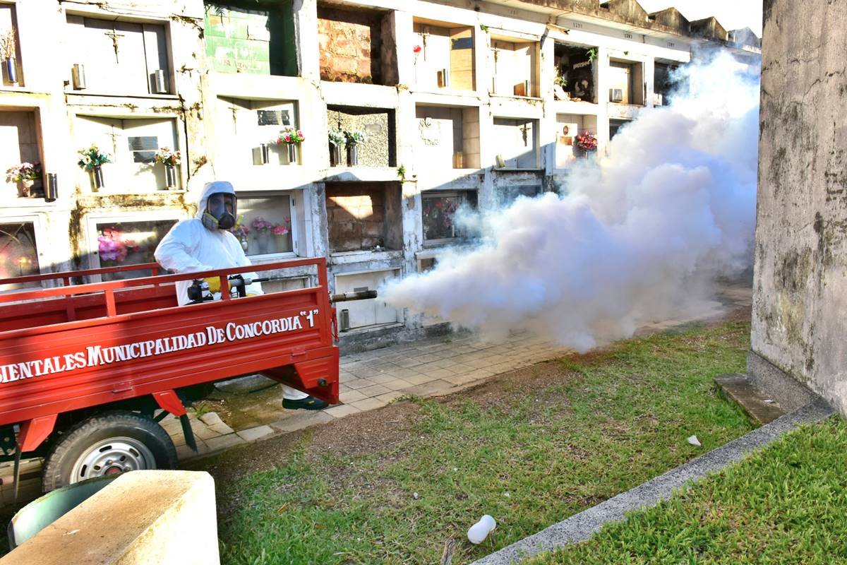 El Cementerio, con horario modificado por fumigación. El Cementerio, con horario modificado por fumigación.