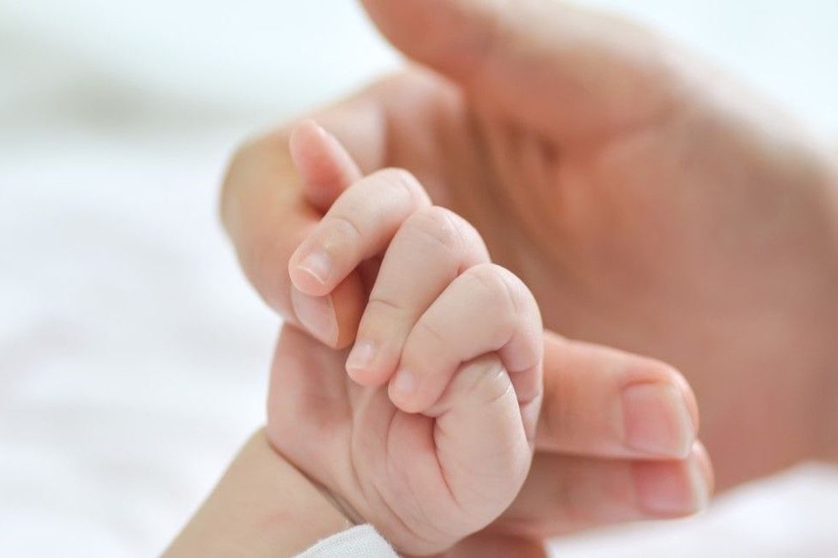 La miel es segura para niños mayores de 1 año y adultos sanos. La miel es segura para niños mayores de 1 año y adultos sanos.