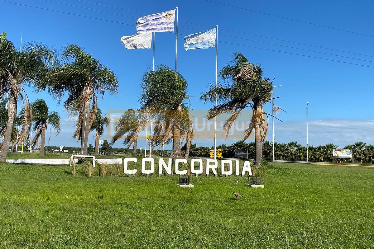 Vuelve el calor a Concordia y la región. Vuelve el calor a Concordia y la región.