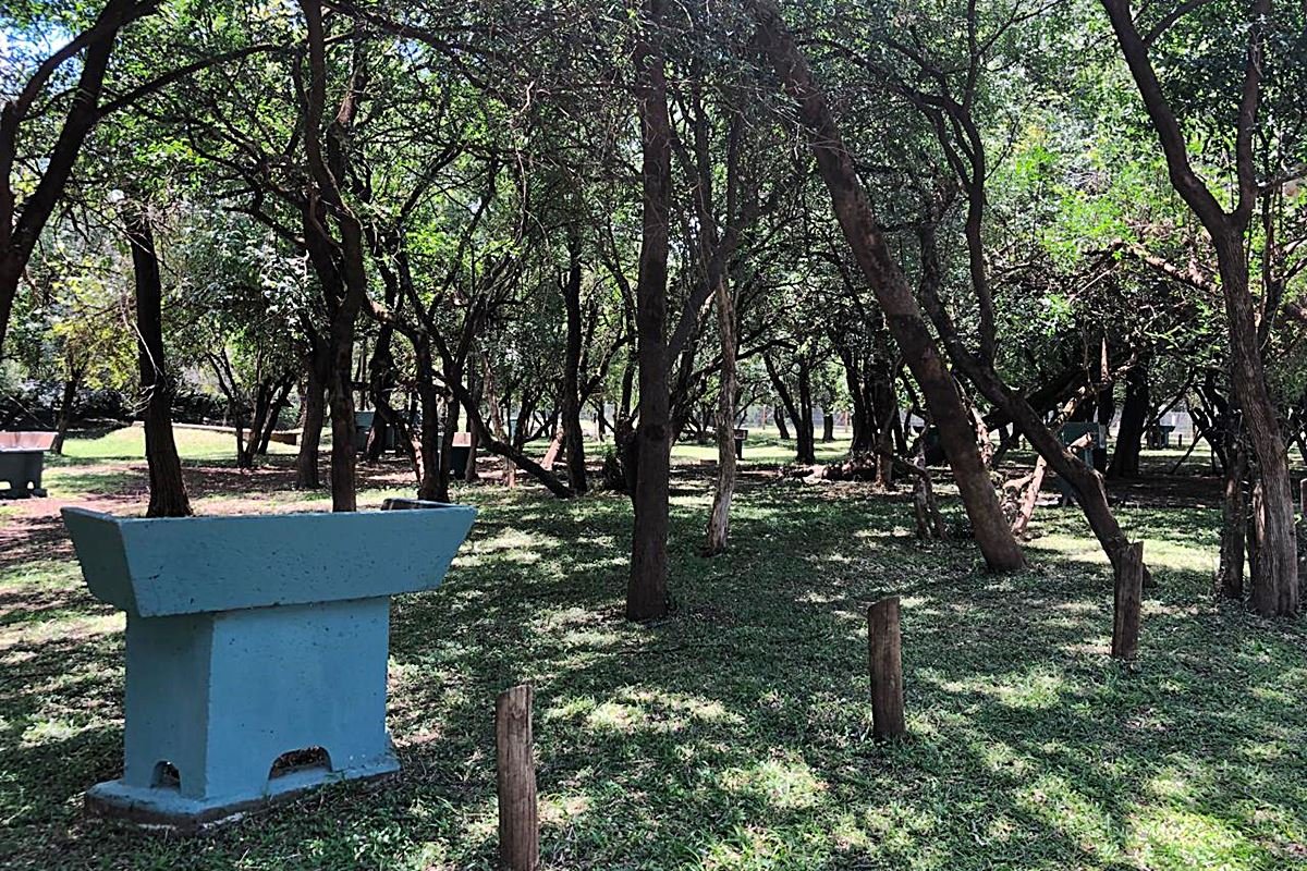 Se acondicionó el camping municipal para este verano. Se acondicionó el camping municipal para este verano.