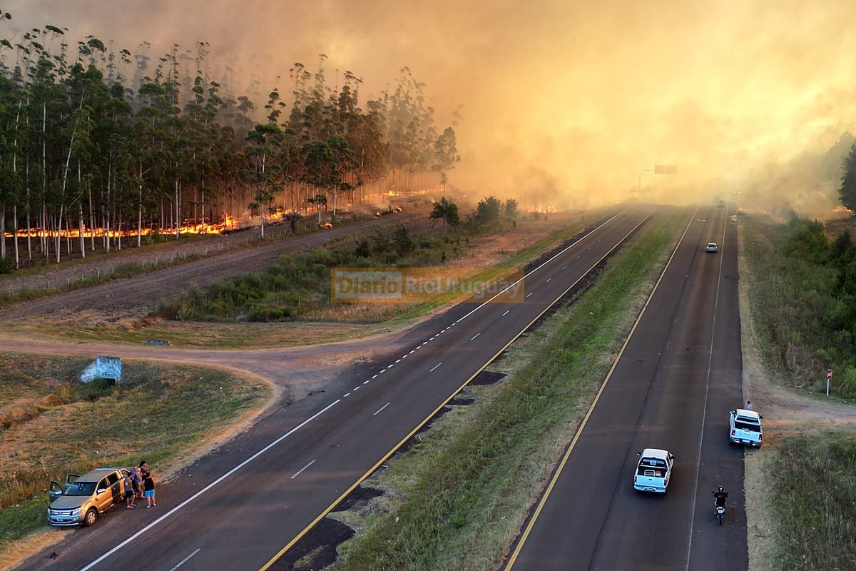 El incendio de Magnasco afectó cientos de hectáreas y seguía avanzando. El incendio de Magnasco afectó cientos de hectáreas y seguía avanzando.